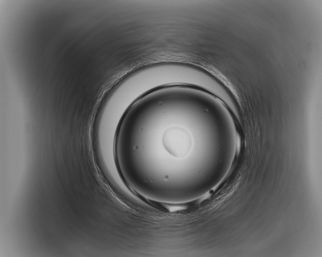 X0000116440581200912081558