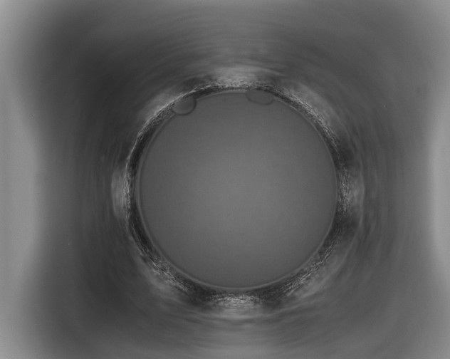 X0000116440583200912081558