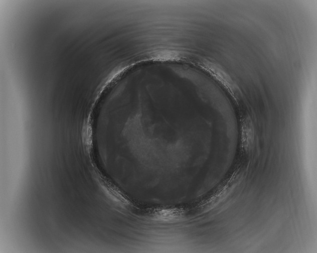 X0000116440584200912081558