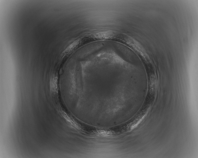 X0000116440585200912081558