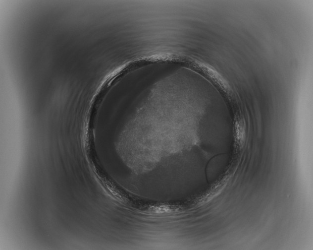 X0000116440588200912081558