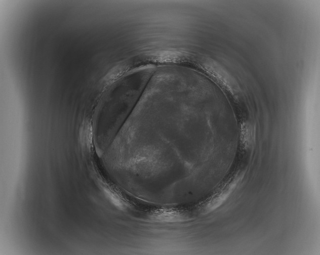 X0000116440589200912081558