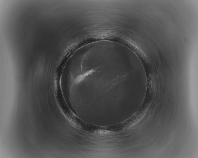X0000116440590200912081558