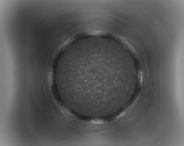 X0000116440591200912081558