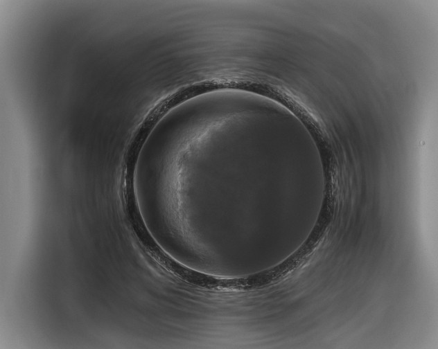 X0000116440592200912081558