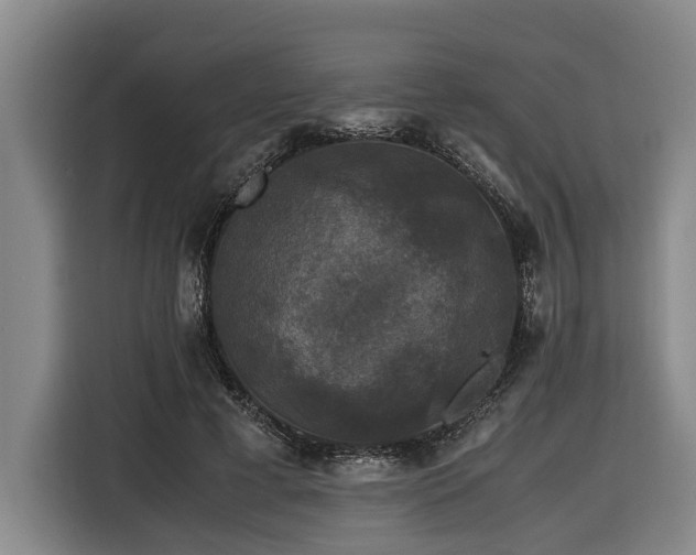 X0000116440593200912081558
