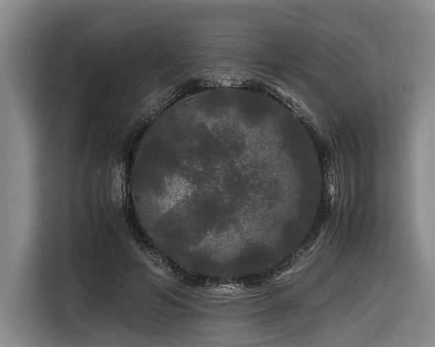 X0000116440594200912081558
