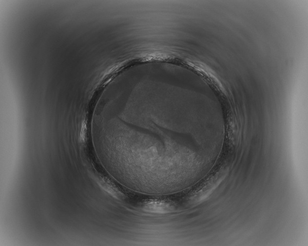 X0000116440596200912081558