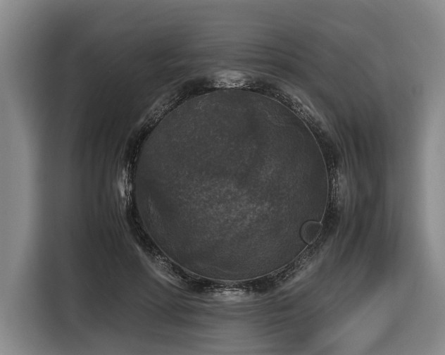 X0000116440598200912081558