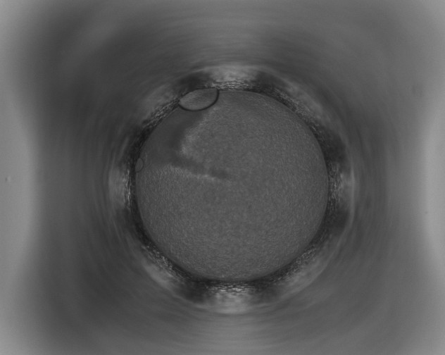 X0000116440599200912081558