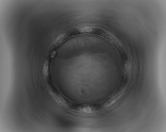 X0000116440600200912081558