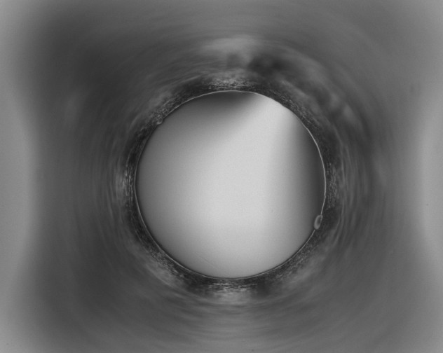 X0000116440601200912081558