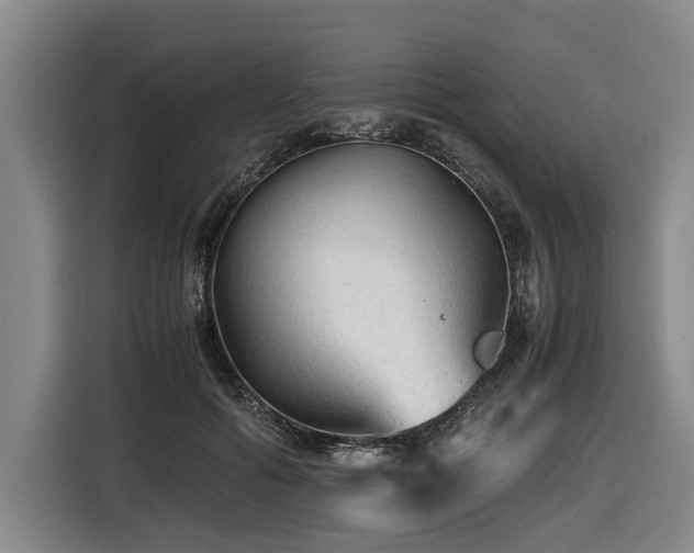 X0000116440602200912081558