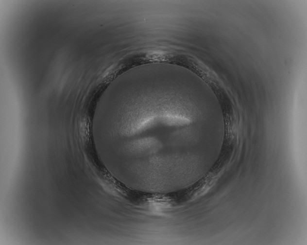 X0000116440603200912081558
