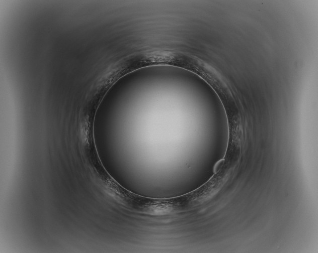 X0000116440604200912081558