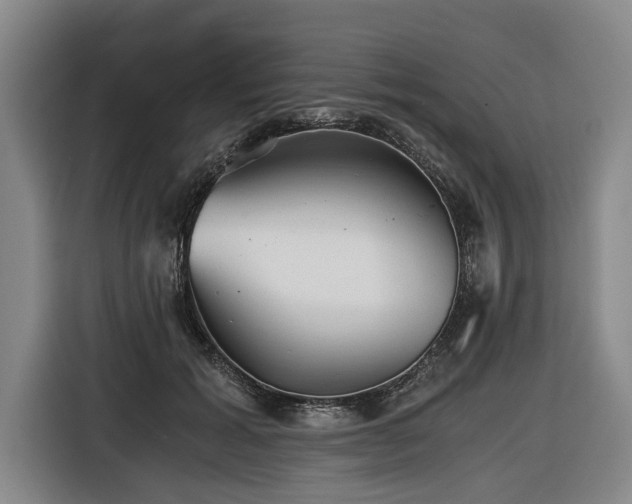X0000116440605200912081558