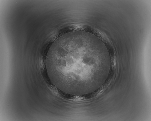 X0000116440607200912081558