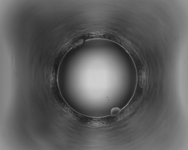 X0000116440608200912081558