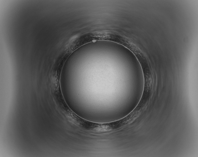 X0000116440609200912081558