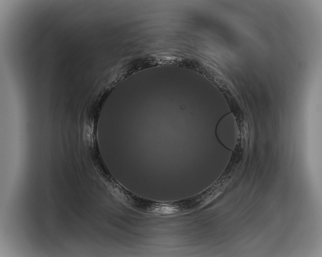 X0000116440610200912081558