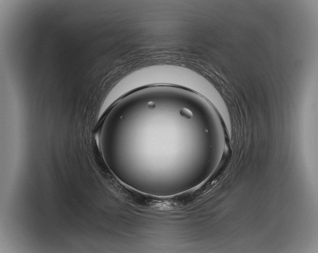 X0000116440611200912081558