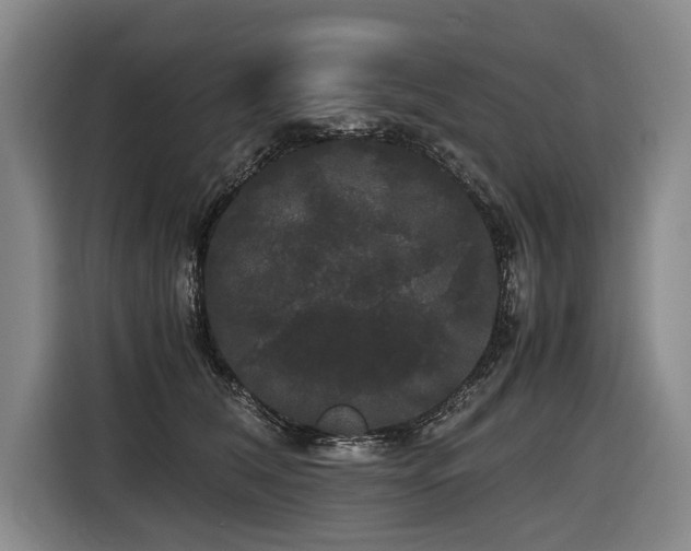 X0000116440612200912081558