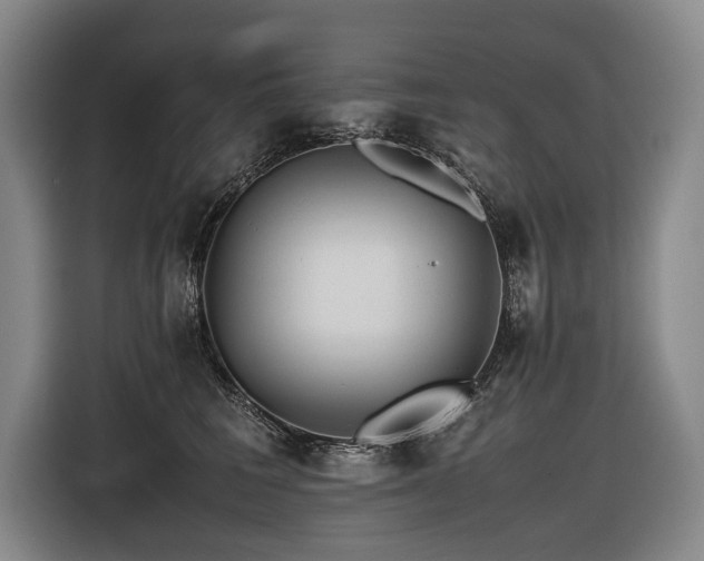X0000116440613200912081558