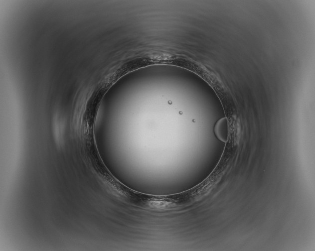 X0000116440614200912081558