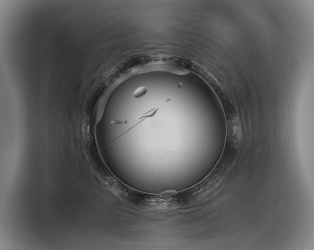 X0000116440615200912081558