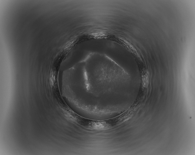 X0000116440618200912081558