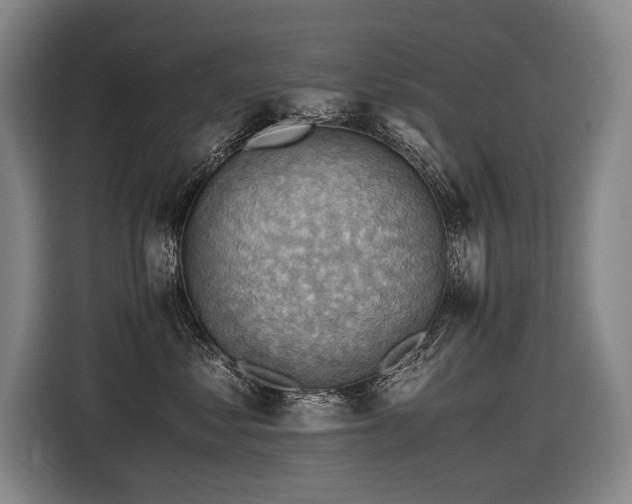 X0000116440621200912081558