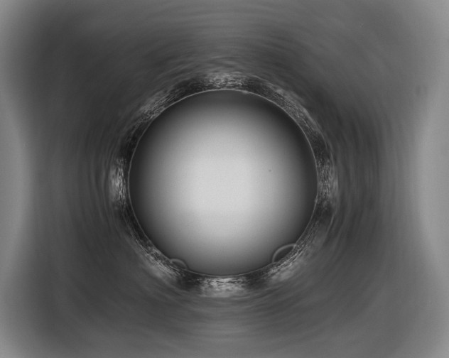 X0000116440622200912081558