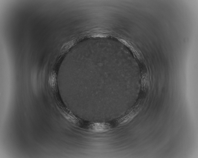 X0000116440623200912081557