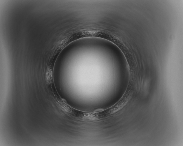 X0000116440624200912081557