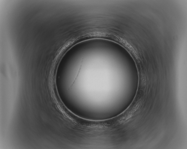 X0000116440625200912081557
