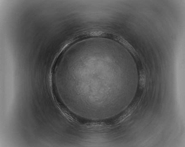 X0000116440626200912081557
