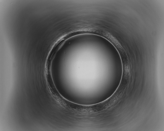 X0000116440628200912081557