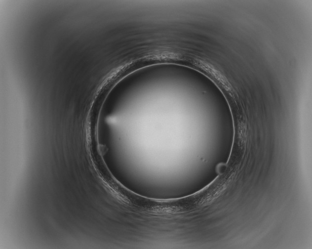 X0000116440629200912081557