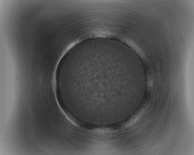 X0000116440630200912081557
