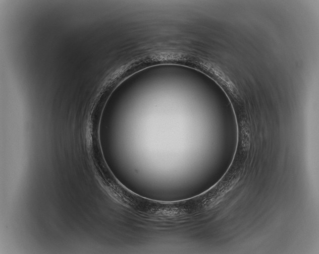 X0000116440631200912081557