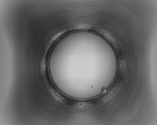 X0000116440632200912081557