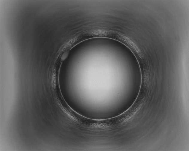X0000116440633200912081557