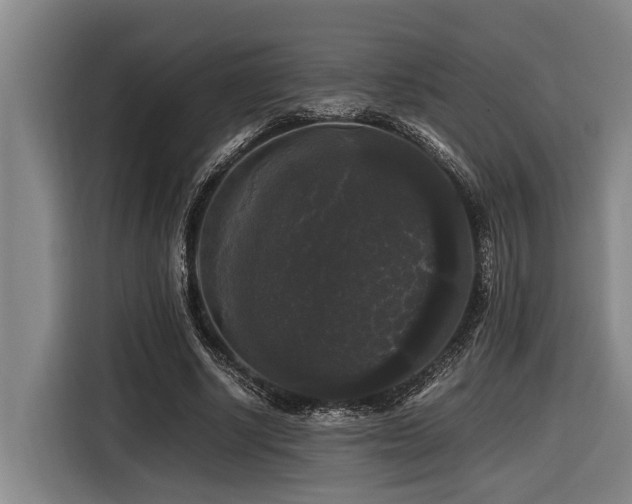 X0000116440634200912081557