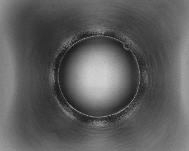 X0000116440638200912081557