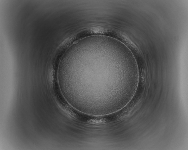 X0000116440639200912081557