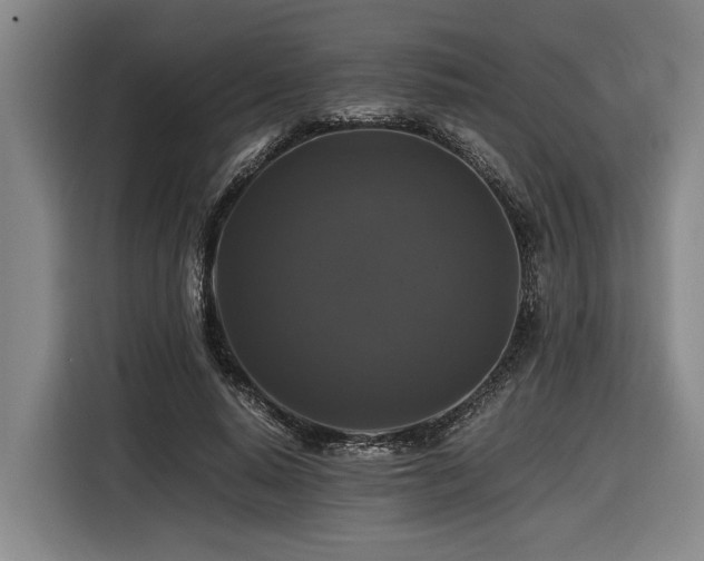 X0000116440640200912081557