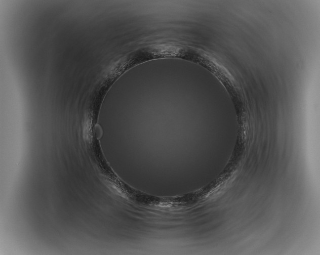 X0000116440641200912081557