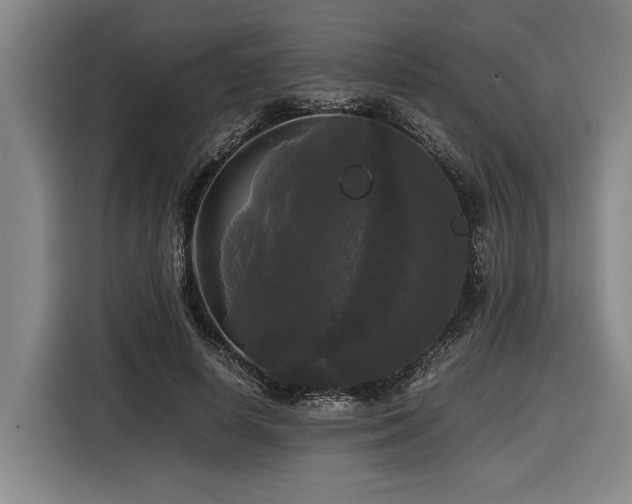 X0000116440642200912081557