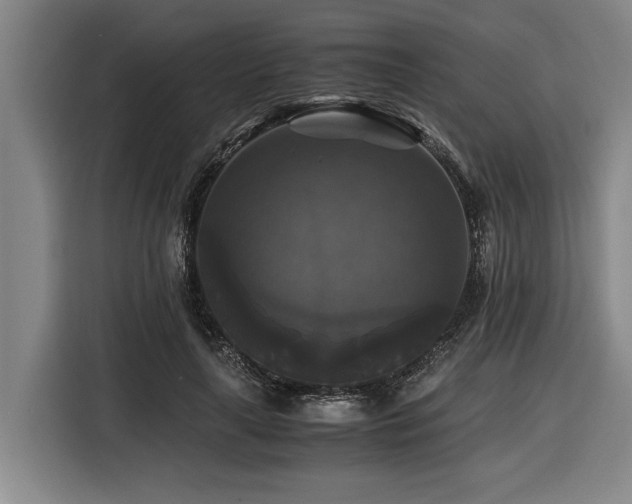 X0000116440643200912081557