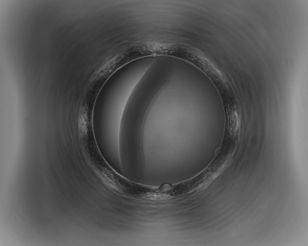 X0000116440644200912081557